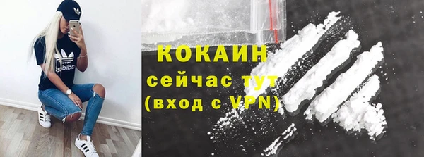 jwh Гусь-Хрустальный