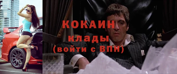 jwh Гусь-Хрустальный