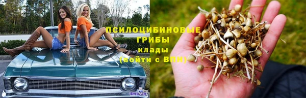 jwh Гусь-Хрустальный