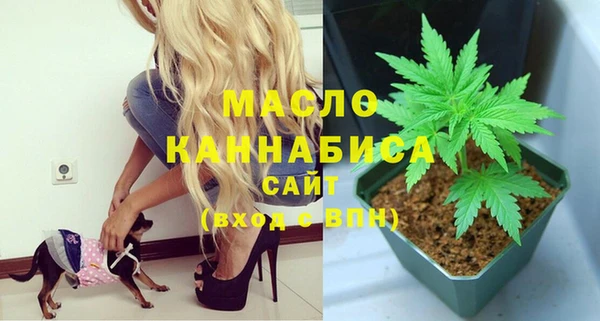 меф Гусев