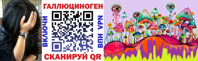 Псилоцибиновые грибы Psilocybine cubensis  Купить  Северск 